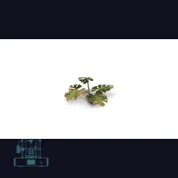 Monstera Laser Plant