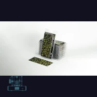 Monstera Laser Plant