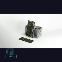 Lords-and-Ladies Laser Plant