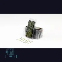 Plantain Lily Laser Plant