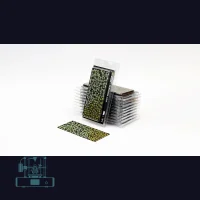 Plantain Lily Laser Plant