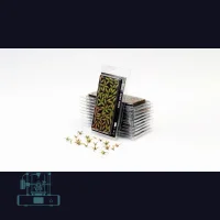 Deer Fern Laser Plant