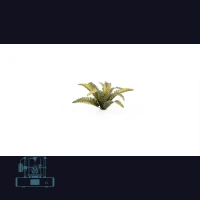 Deer Fern Laser Plant