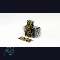 Deer Fern Laser Plant