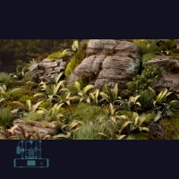 Deer Fern Laser Plant