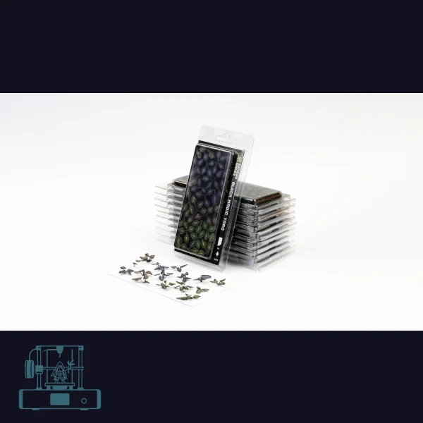 Black Magic Taro Laser Plant