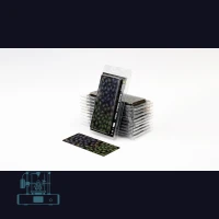 Black Magic Taro Laser Plant