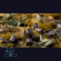 Black Magic Taro Laser Plant