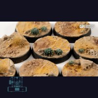 Deserts of Maahl Bases, Round 28mm (x8)
